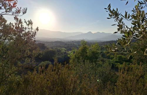 Inteserras - Foto 29