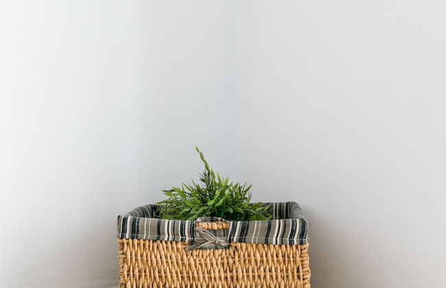 Apartamento Alameda 1 - Foto 23