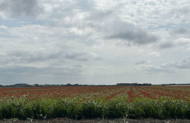 Rusthoeve 28 - Foto 18