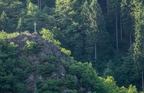 Apartment in Waldbreitbach mit Whirlpool by Interhome - Foto 26