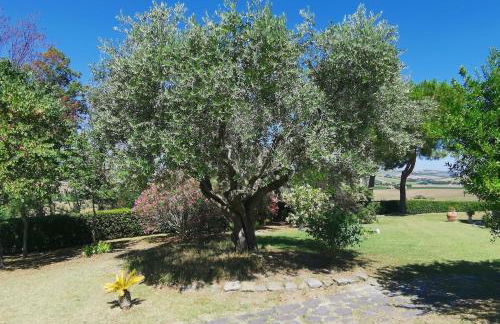 Villa Giulia, a splendid farmhouse in the Marche region - Foto 58