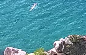 Villa Nora - Foto 34