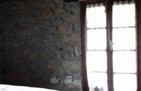 Flor de Pomar - Foto 74