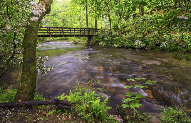 Mountain Magic by Jackson Mountain Rentals - Foto 30