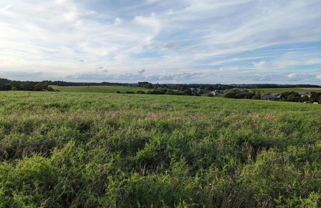 Bievre Forest-edge Retreat - Foto 37