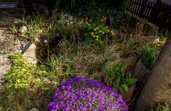 Schönes wohnen im Grünen - Foto 14