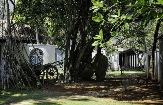 SATIN DOLL - Foto 45