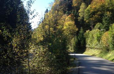 Ferienhütte in Ruhpolding - Foto 8