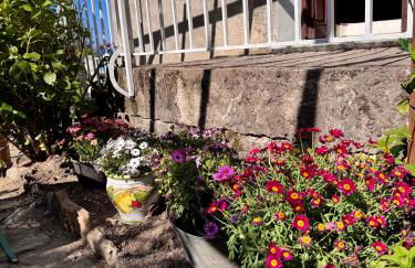 Maison traditionnelle avec vues sur St Michel - Foto 28