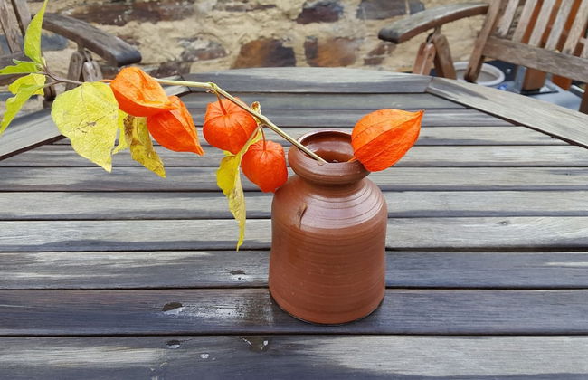 Quaint Apartment in Kaifenheim near Forest - Foto 17