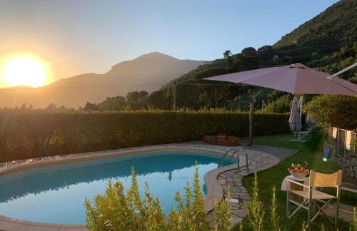 Il Grillo sull'Olivo - Foto 3