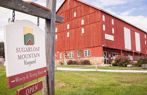 The Log House at Sugarloaf Mountain MD - Foto 51