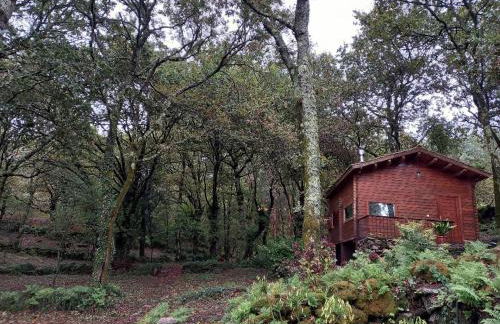 Veiga Mariña - Foto 10