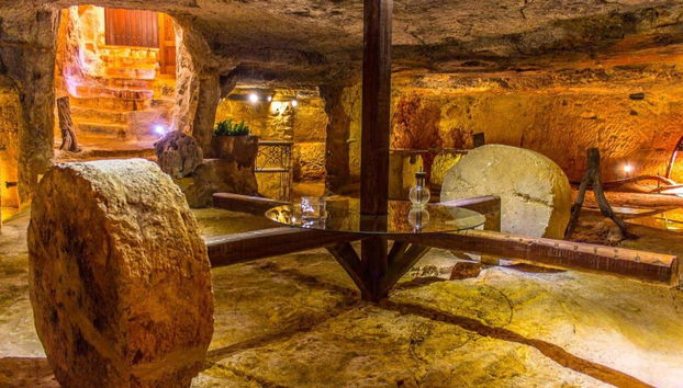 Olive Oil Tasting - Foto 4