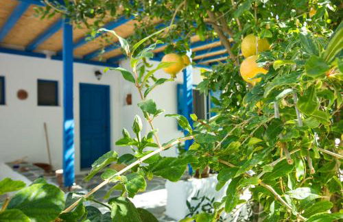 George's beach studios Aliki Paros - Photo 27