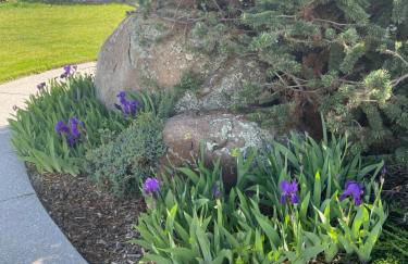 Mountain View Suite - Foto 11