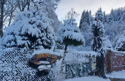 Domki pod Lipą. - Foto 63