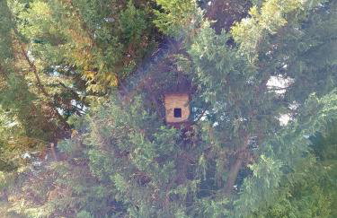 Casa di Pietra - Photo 9