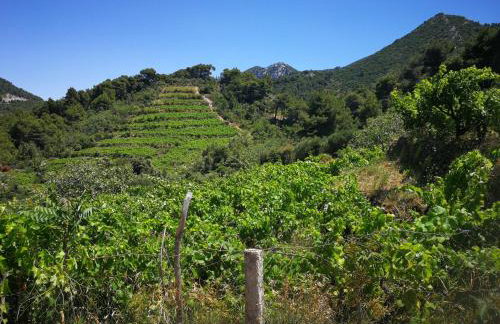 Vukotić Beach house - Foto 80