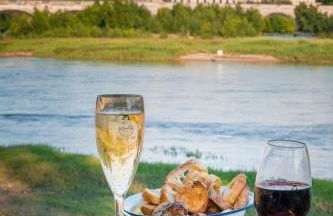 85 l idéal , quiet charm in Tours - Foto 51