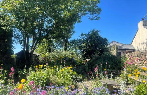 2 Bed in Eaglesfield 85288 - Foto 17