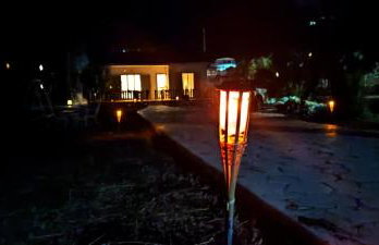 Palm tree house by the beach - Foto 30