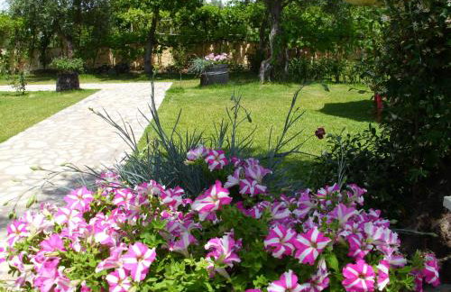 Olga's Garden Apartments - Foto 47