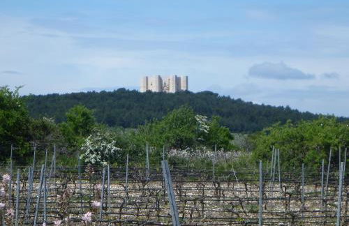 Chez-Antoinette - Foto 74