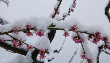 La Casa di Colle - Foto 3