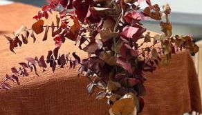 Le Pantaléon - Sublime Studio Capitole - Foto 4