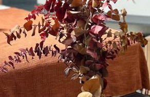 Le Pantaléon - Sublime Studio Capitole - Foto 4