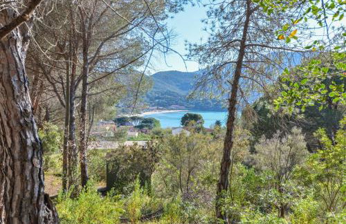 Il Papavero - Foto 15