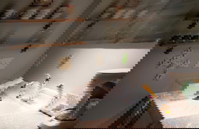 Zia New Haven - Photo 13