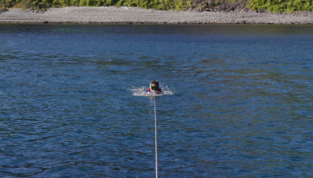 Morro Dois Irmãos Boat Ride - Foto 5