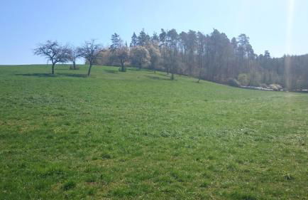 Große Ferienwohnung auf dem Pferdehof Nähe Bamberg, Coburg, Schweinfurt - Foto 19