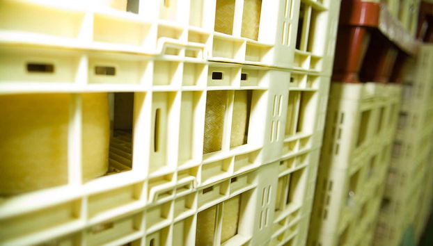 Seeing how the cheese is prepared to ship