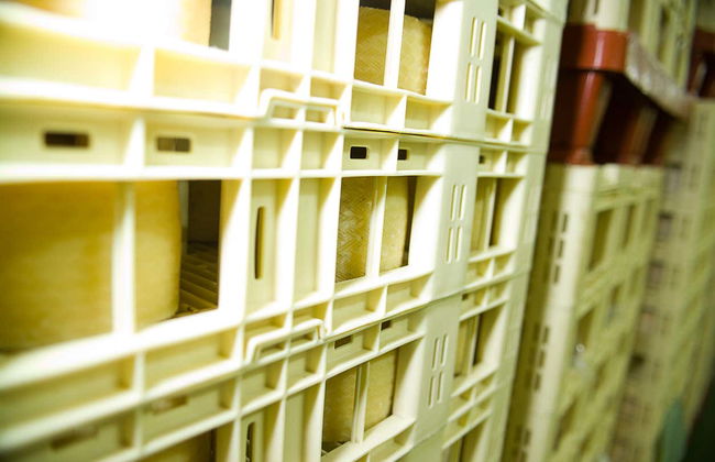 Visit to La Antigua Cheese Factory - Photo 5