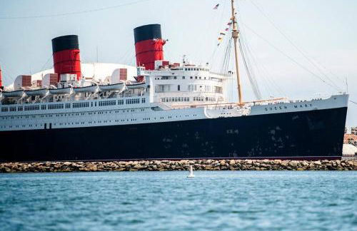 Traveler's Pick Cozy, Near Beach & Dtwn,Prkg LB C - Foto 21