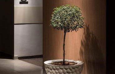 Sea View Hotel & Apartments - Foto 72