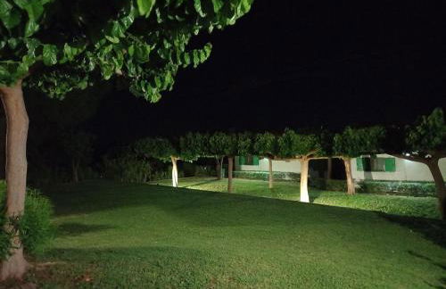 Verde e Mare apartments-Marathias - Foto 3