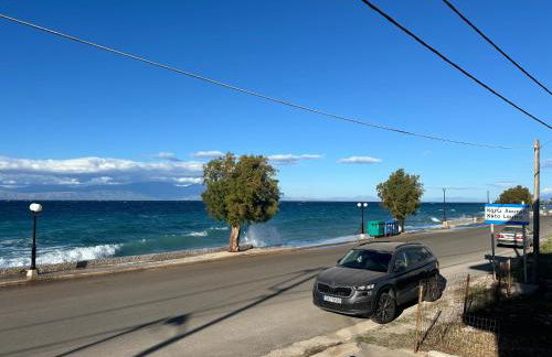 Seashell Home - Foto 13