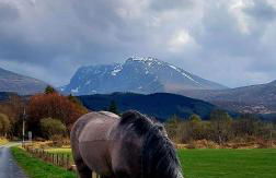 North Face Dwelling at Ardenvale Self Catering - Foto 17