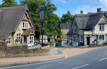 The Bay house Apartments , shanklin - Photo 79