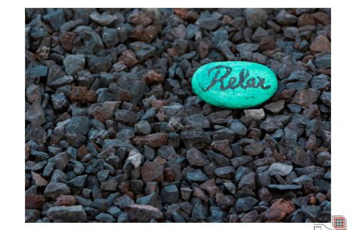 Casa do Zé II AL - Photo 67