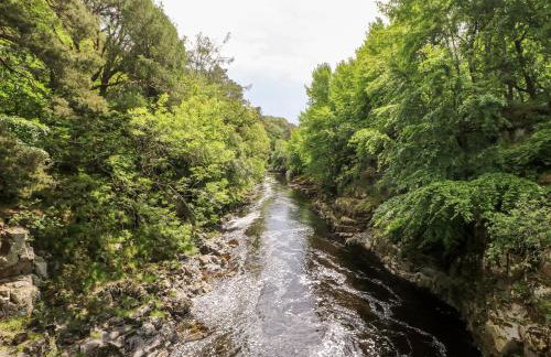 Meadows Edge - Photo 37