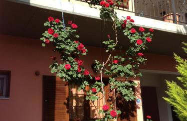 Artemis Apartments - Photo 54