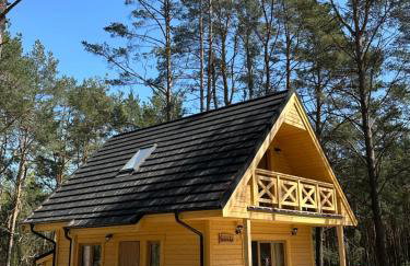Domek wypoczynkowy Sosenka z sauną i jacuzzi - Foto 2