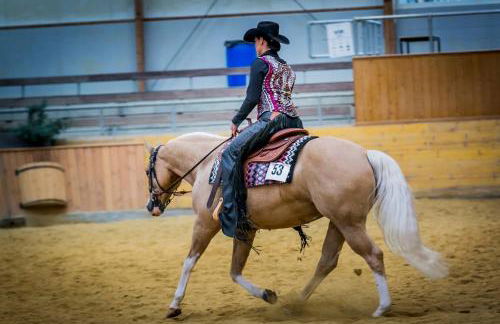 Sonnenhof, Ferienwohnung auf Reitanlage - Foto 40