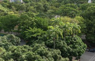 Ótimo Flat Bairro da Jaqueira Recife até 3 pessoas O Coração Verde da Cidade PBO902 - Foto 33