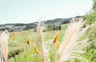 Ferienwohnung Gerolstein - Foto 8